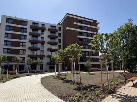 Pronájem bytu, 1+kk, 38 m²
