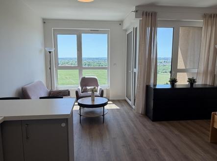 Pronájem bytu, 1+kk, 38 m²