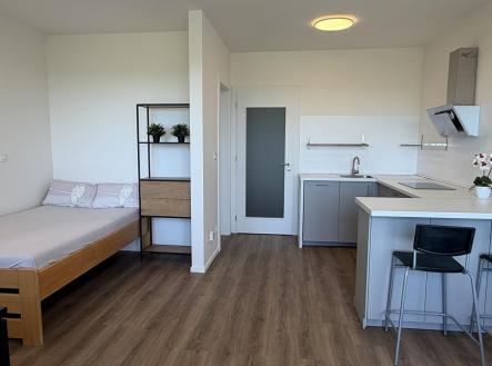 Pronájem bytu, 1+kk, 38 m²
