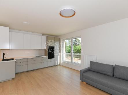 Pronájem bytu, 3+kk, 65 m²