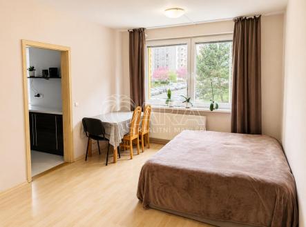 Pronájem bytu, 3+1, 67 m²