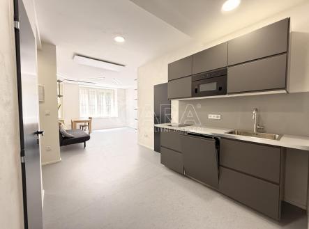 Pronájem bytu, 1+kk, 55 m²