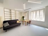 Pronájem bytu, 1+kk, 55 m²