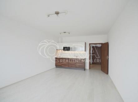 Pronájem bytu, 1+kk, 40 m²