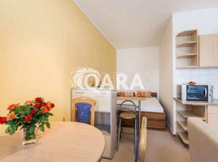 Pronájem bytu, 1+kk, 28 m²
