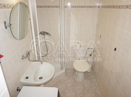 Prodej bytu, 1+kk, 24,5 m²