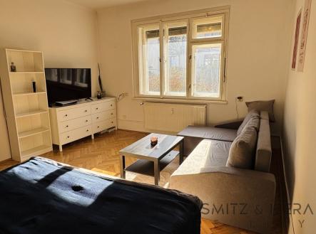 Pronájem bytu, 1+1, 55 m²