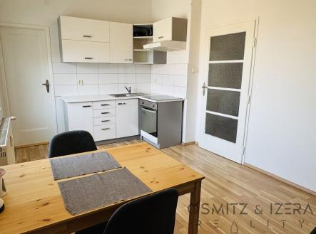 Pronájem bytu, 1+1, 55 m²