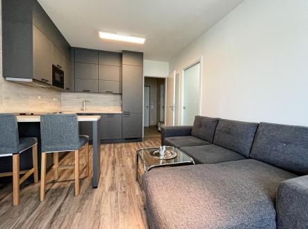 Pronájem bytu, garsoniéra, 52,5 m²