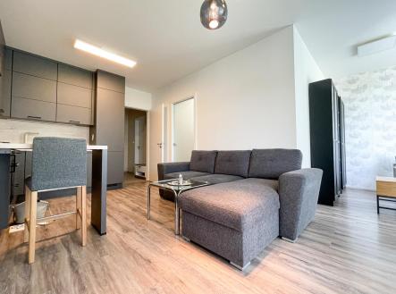 Pronájem bytu, garsoniéra, 52,5 m²
