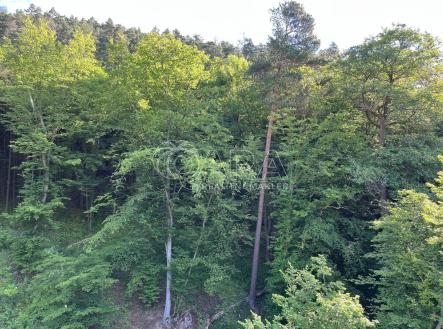 Prodej pozemku, les, 58 823 m²