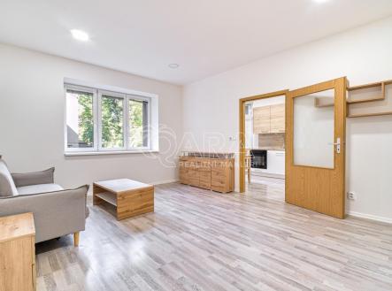 Pronájem bytu, 1+1, 43 m²