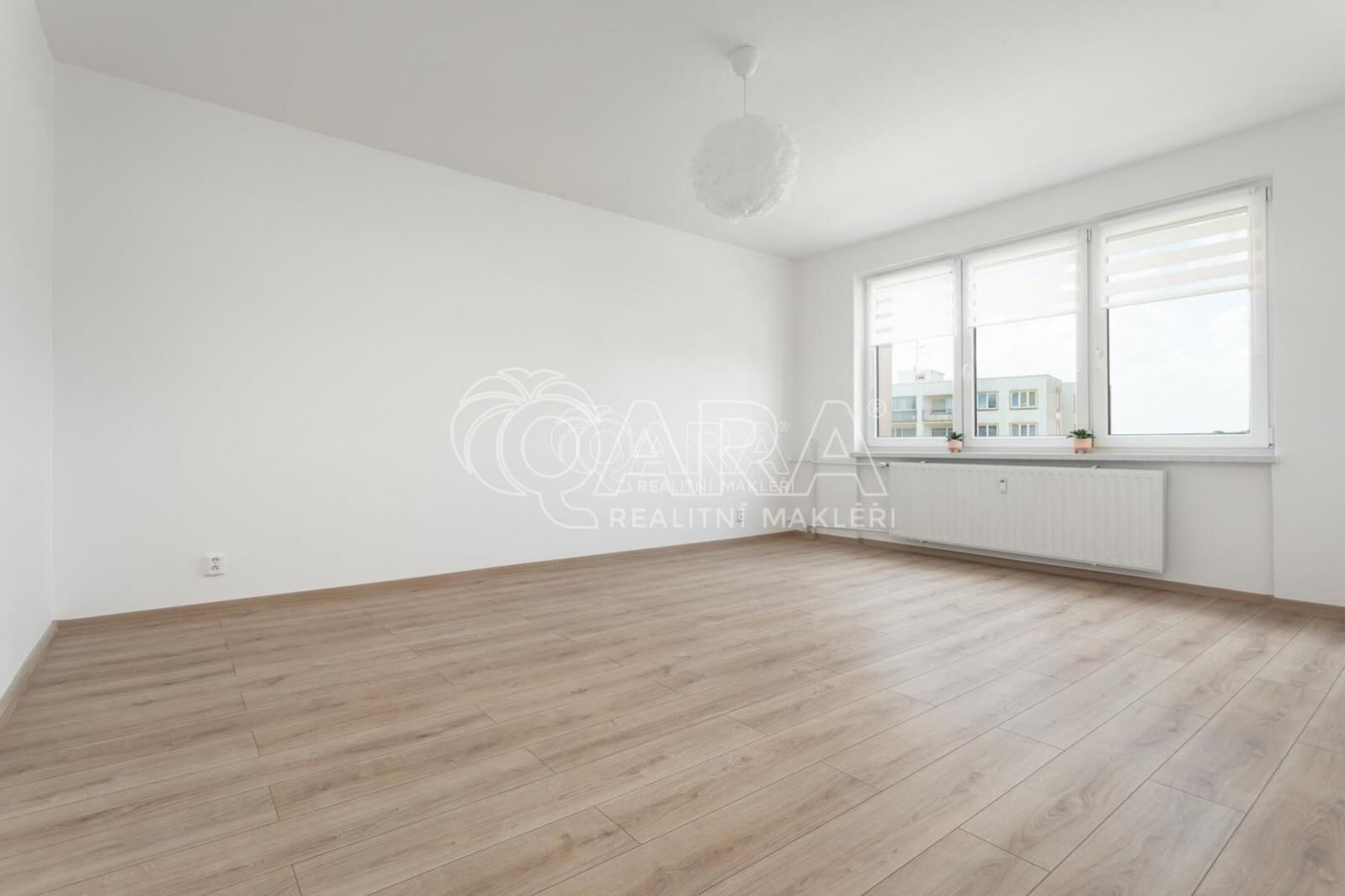 fotografie