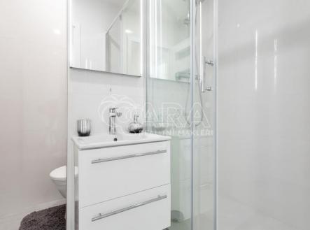 Pronájem bytu, 1+1, 38 m²