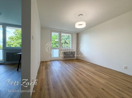 Pronájem bytu, 1+1, 39 m²