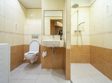 Pronájem bytu, 2+1, 63 m²