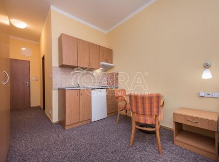 Pronájem bytu, 1+kk, 25 m²