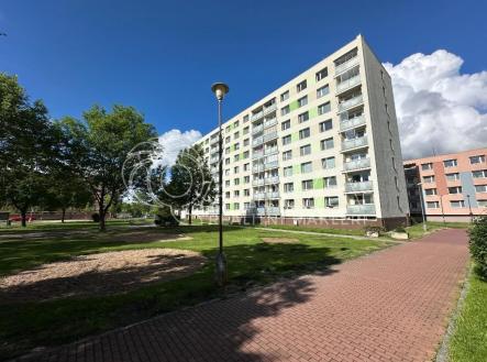 Pronájem bytu, 3+1, 63 m² obrázek