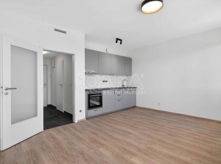 Pronájem bytu, 1+kk, 27 m²