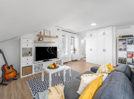 Pronájem bytu, 1+kk, 47 m²