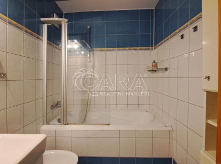 Pronájem bytu, 3+1, 70,6 m²