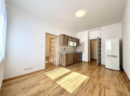 Pronájem bytu, 2+kk, 48 m²