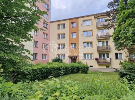 Pronájem bytu, 1+kk, 24 m²