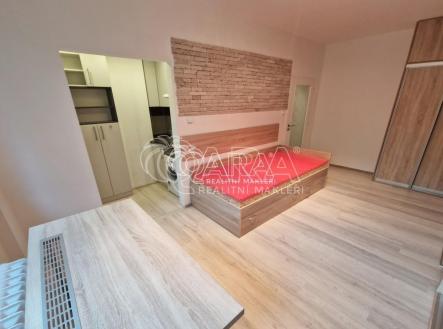 Pronájem bytu, 1+kk, 24 m²