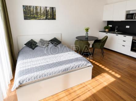 Pronájem bytu, 1+kk, 34 m² obrázek