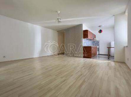 Pronájem bytu, 1+kk, 43 m²