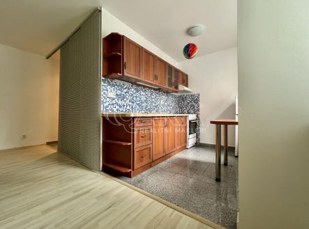 Pronájem bytu, 1+kk, 43 m²