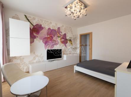 Pronájem bytu, 1+1, 39,9 m²