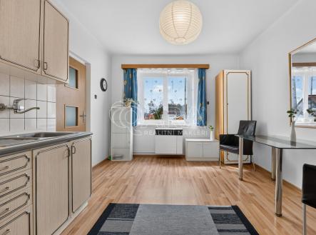 Pronájem bytu, 1+1, 48 m²