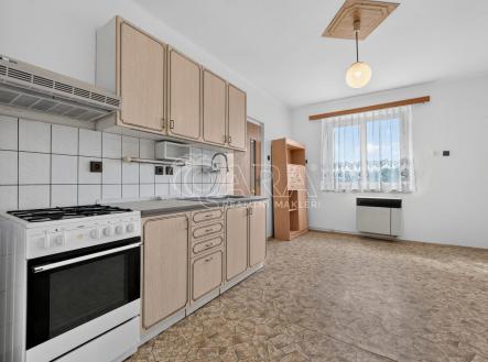 Pronájem bytu, 1+1, 48 m²