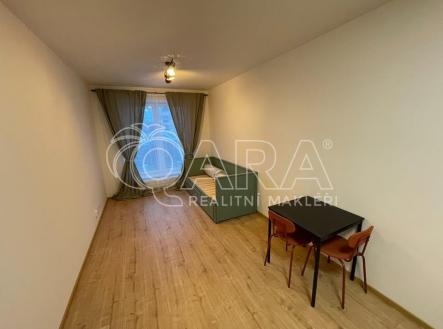 Pronájem bytu, 1+kk, 28 m²