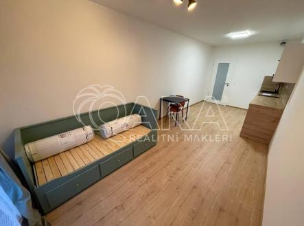 Pronájem bytu, 1+kk, 28 m²
