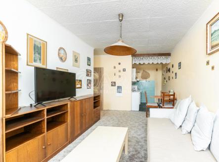 Prodej bytu, 2+kk, 47 m²