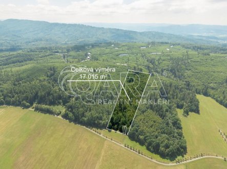  LESNÍ POZEMEK NA PRODEJ  HOSTAŠOVICE, NOVÝ JIČÍN 