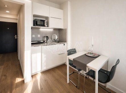 Pronájem bytu, 1+kk, 22,8 m²