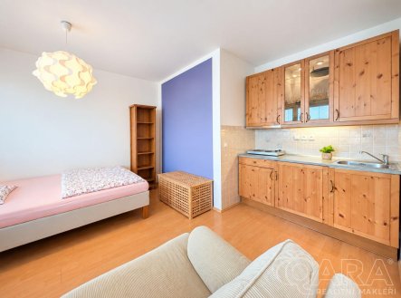 Prodej bytu, 1+kk, 33,8 m²