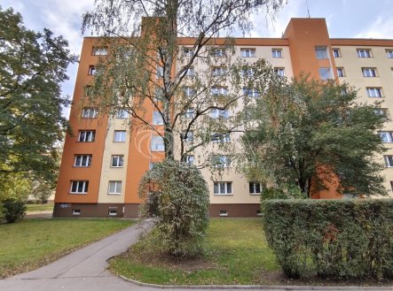 Pronájem bytu, 2+1, 53 m²