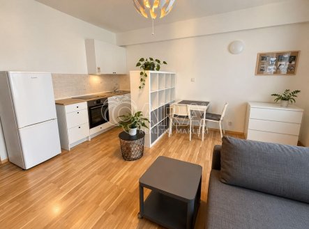 Pronájem bytu, 1+kk, 28 m², Praha – náhled fotky 2