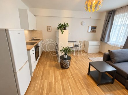 Pronájem bytu, 1+kk, 28 m², Praha – náhled fotky 3