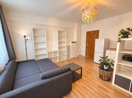 Pronájem bytu, 1+kk, 28 m²