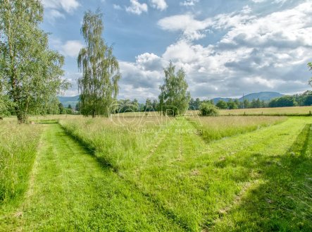 Prodej pozemku pro bydlení, 1 300 m²