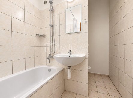 Pronájem bytu, 2+1, 44 m²