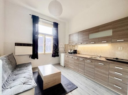 Pronájem bytu, 1+kk, 24 m²