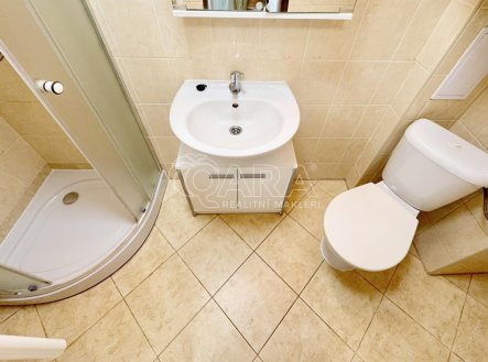 Pronájem bytu, 1+kk, 24 m²
