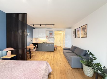 Pronájem bytu, 1+kk, 33 m²