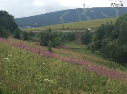 Prodej - pozemek pro komerční výstavbu, 6 354 m²